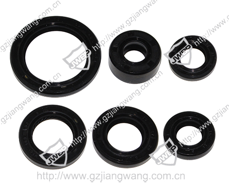 Motorcycle Seal  WS110 6PCS